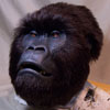 Animatronic Gorilla mask