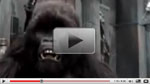 Frightdome gorilla costume video